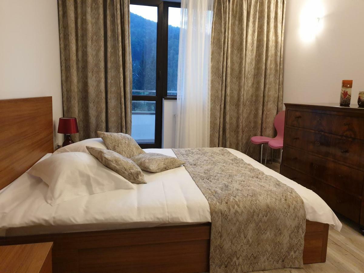 Riky Apart Mountain View Apartment Sinaia Exterior photo
