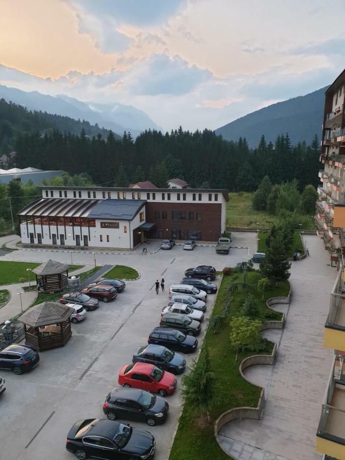 Riky Apart Mountain View Apartment Sinaia Exterior photo