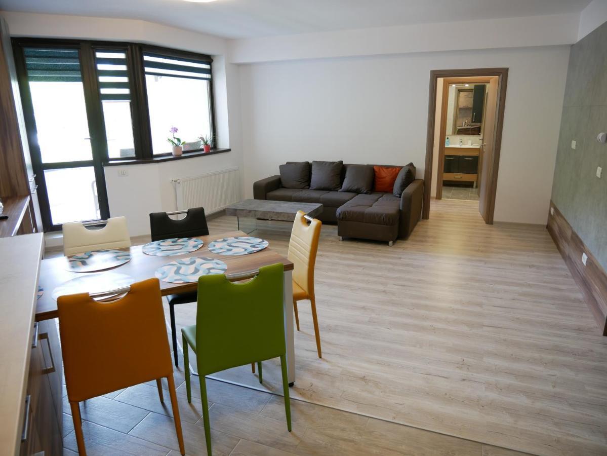 Riky Apart Mountain View Apartment Sinaia Exterior photo